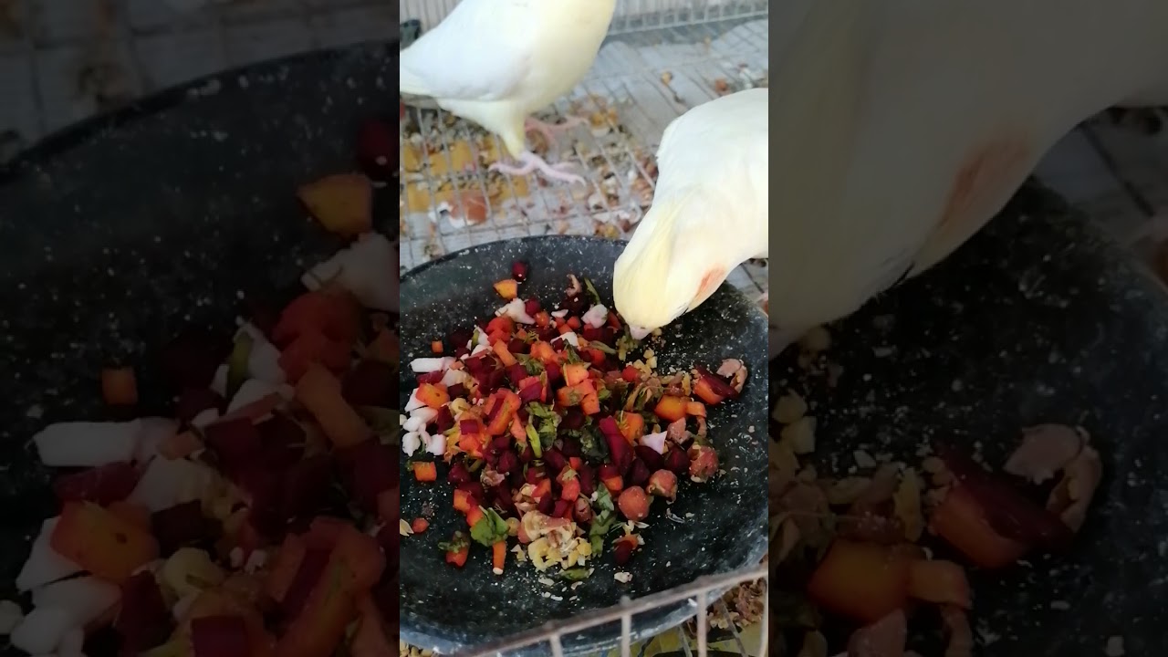 How to make soft healthy food for 