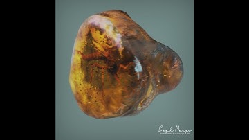 [KEYSHOT] 3D rendering - Mosquito In Amber