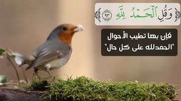 ( وقل الحمد لله ) #سورة النمل#حالات_واتس #حالات_واتساب_دينية #حالات_واتساب #حالات واتس اب قران