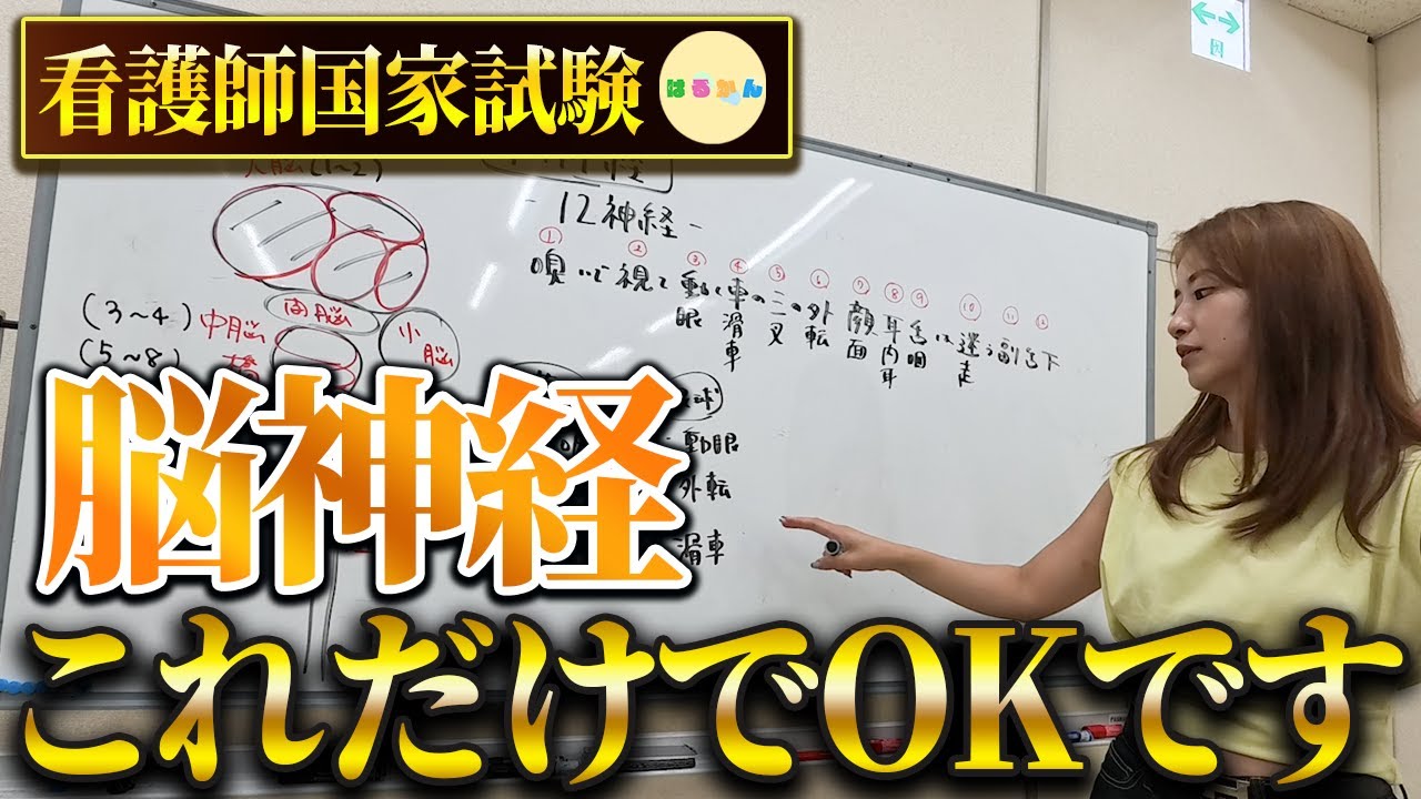 【看護師国家試験-脳神経・脳の働き-】授業を大公開！