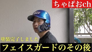 【マニア向けDIYのその後】ヘルメット塗装完了いたしました