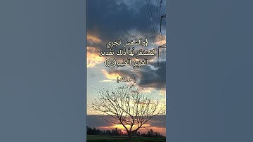 سورة يس الآية ٣٦ الى ٤٠ بصوت الشيخ محمد ايوب رحمه الله #القرآن #القران_الكريم