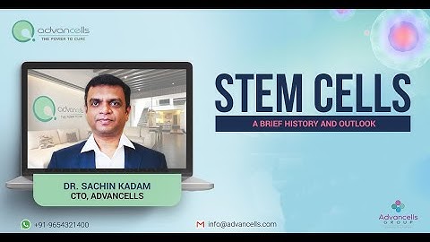Stem cells: A Brief History and Outlook