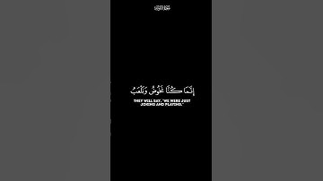 ولئن سألتهم ليقولون - كرومات شاشة سوداء القران الكريم - القارئ ماهر المعيقلي #quran