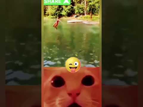 The FUNNIEST Moments Of 2025