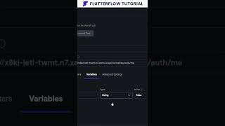How to get users data from authentication token in FlutterFlow?