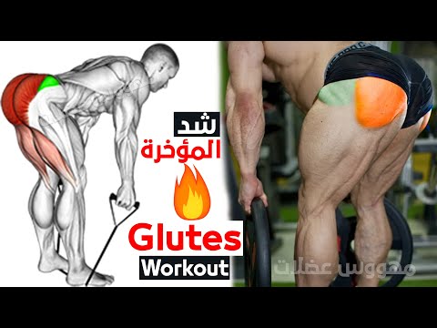 7 Best exercise glute workout (Effective Exercises !!)