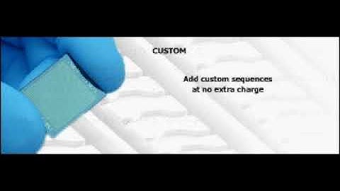 microRNA Microarray Service