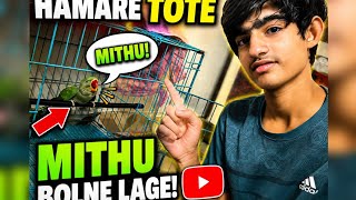 Hamare tote Mithu bolne lage😯 sannu baisla vlogs 