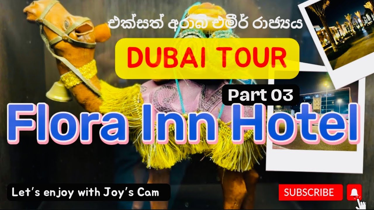 එන්න හොටෙල් එකට යමු? Check in to the Hotel Flora Inn 