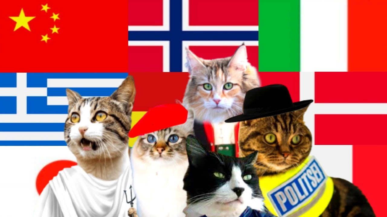 Cat in different languages meme lemon mix - YouTube