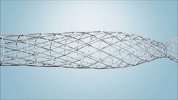 Render for next optimization video