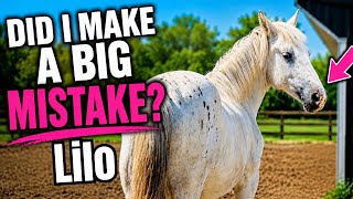 I Regret Buying This Filly Now…