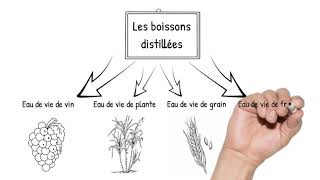 Les Boissons Du Bar