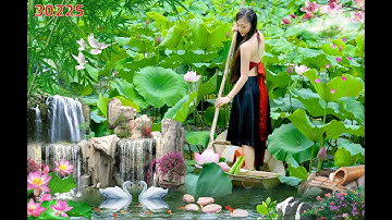 Tranh 3D,5D,8D dán tường Hot Girl, Cô Gái Xinh Đẹp cùng hoa sen / tranhtuongH2T.com