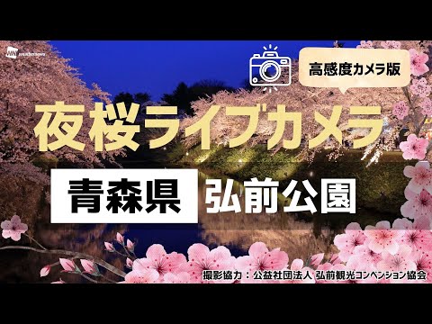 🌸緊急開催!!夜桜ライブカメラ（高感度カメラ版）🌸青森・弘前公園＜さくら名所100選＞🌸本日限定ライトアップ配信 2024年4月17日(水)