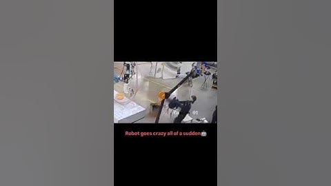 When a Robot Goes Crazy... 🤖
