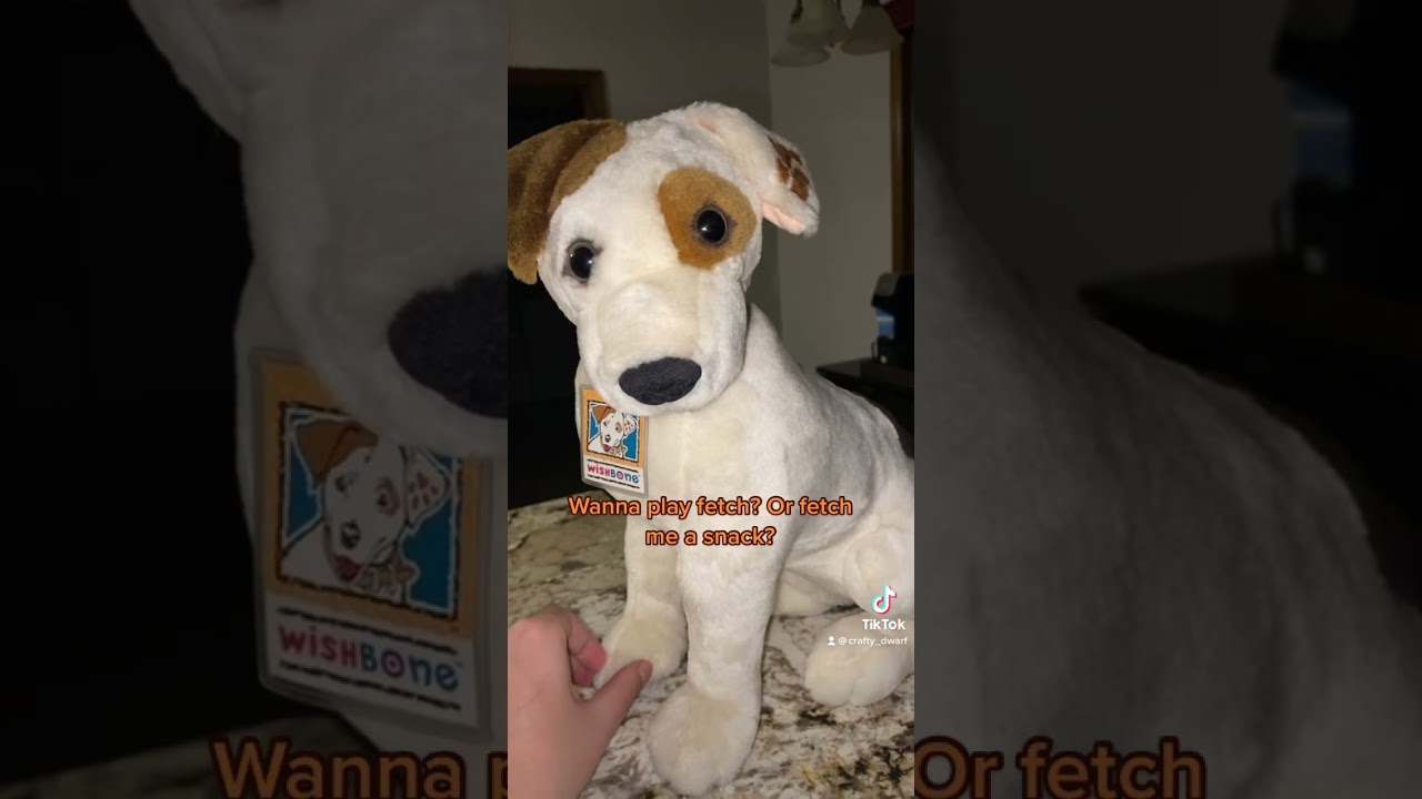 Talking Wishbone Plush All 12 Phrases