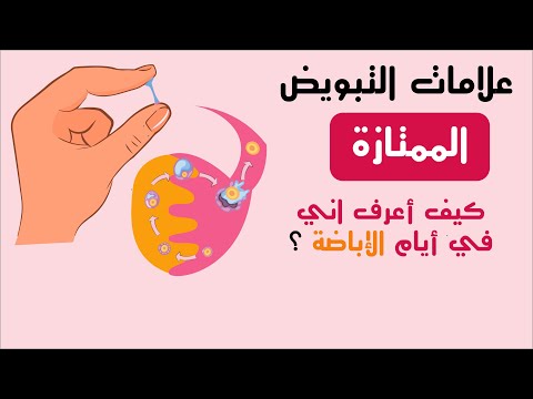 فيديو: متى تحدث الإباضة بعد الحيض؟ طرق حساب الوقت 