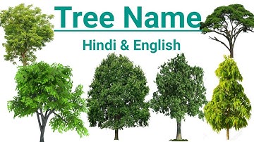 पेड़ पौधों के नाम हिन्दी और अंग्रेजी में | Plants Name  | Tree Name Hindi & English | Kid study |