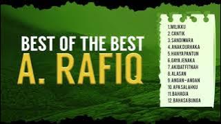 BEST OF THE BEST A  RAFIQ