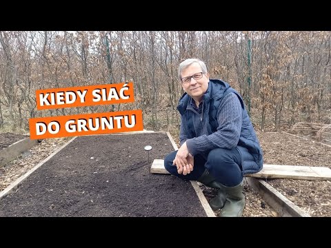 Wideo: Kiedy zasiać miniwasę?