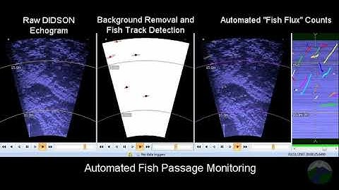 Automated DIDSON and ARIS Sonar Processing using Echoview Software