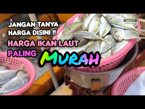 Harga Ikan Tamban