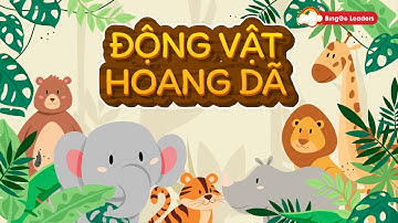 Động vật hoang dã - Wild animals - Từ vựng tiếng Anh cho bé | Tiếng Anh trẻ em | BingGo Leaders