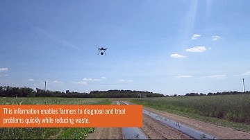 Drones, sensors and precision agriculture