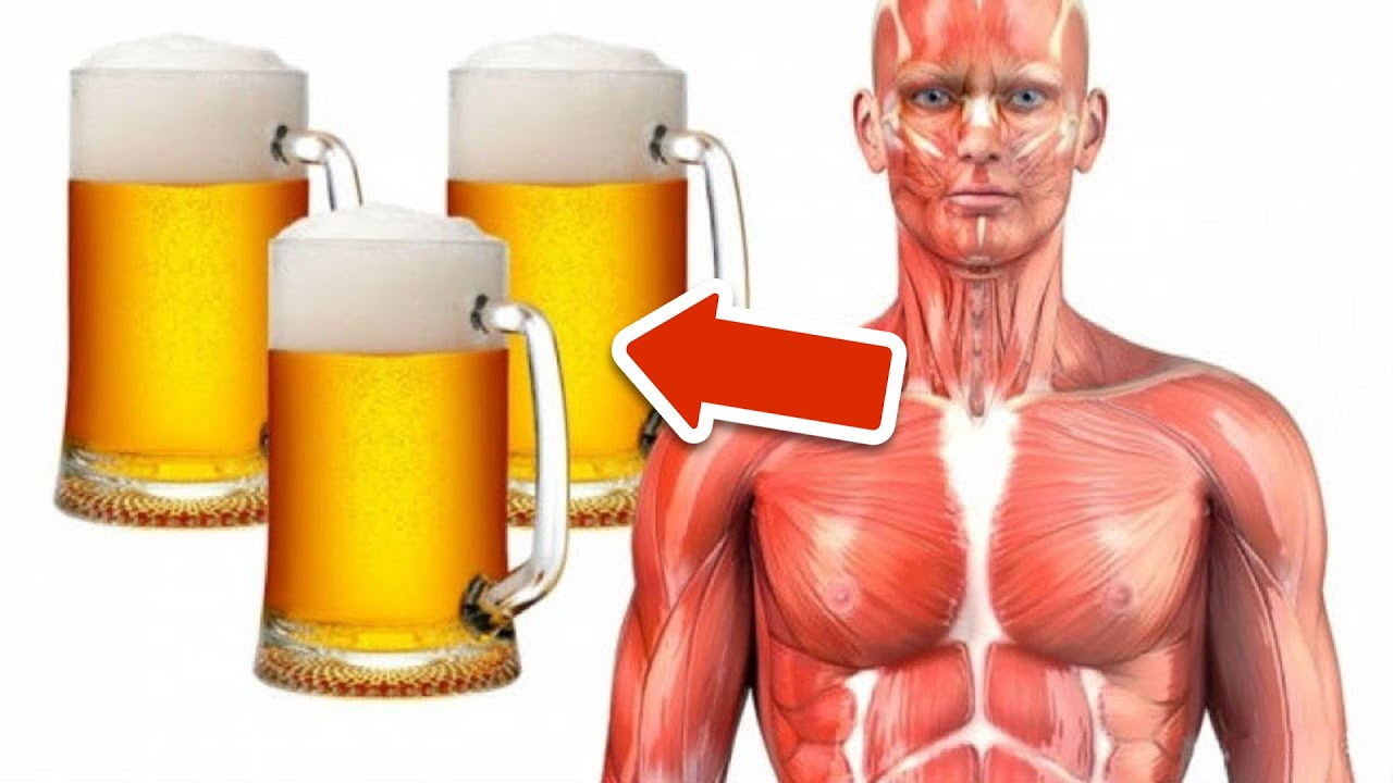 etwas-unglaubliches-passiert-wenn-du-jeden-tag-0-5-liter-bier-trinkst