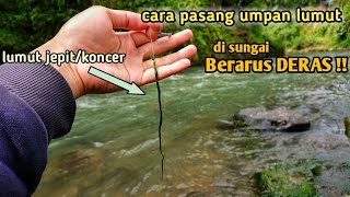 Mancing di Sungai Elo Menggunakan Umpan Lumut Jepit/Koncer, 