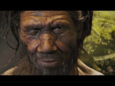 Wideo: Neandertalczycy Wymarli, Ponieważ Nie Potrafili Wymyślić Kreatywności - Alternatywny Widok