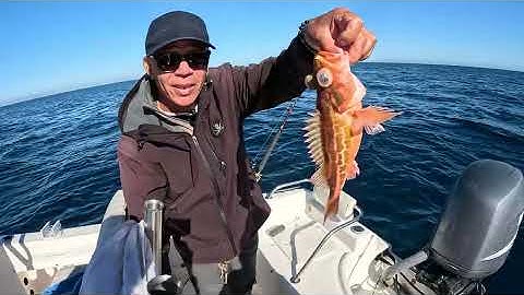 Ba chú cháu đi câu và bắt tôm thật là tuyệt vời | Three of us catching fish and lobster