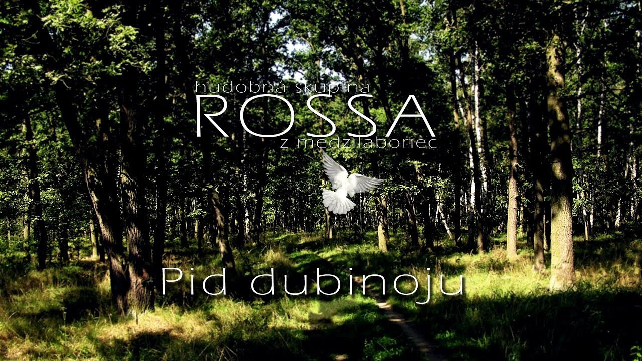 ROSSA 2 - Pid dubinoju