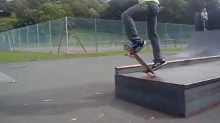 Rollersnakes video
