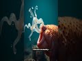 Hagfish Slime: The Ocean's Grossest Superpower #WildLogic #Animals #Nature #Wildlife #NatureFacts #S