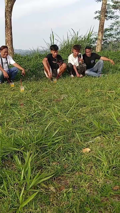 malunya gakkaruan #comedy #lucu