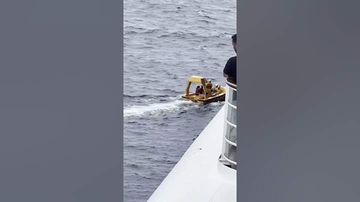 Father and child rescued after going overboard Disney cruise ship