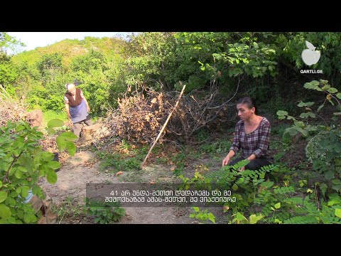 მარტო მთაში  - კოვიდისა და სიღარიბის პირისპირ