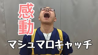 神業！感動！連続マシュマロキャッチに挑戦！！