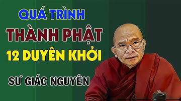 Quá Trình Thành Phật: Quán Chiếu 12 Duyên Khởi | Sư Giác Nguyên | Sư Toại Khanh
