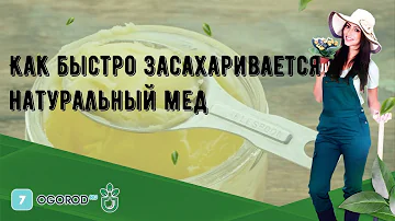 Как быстро засахаривается натуральный мед