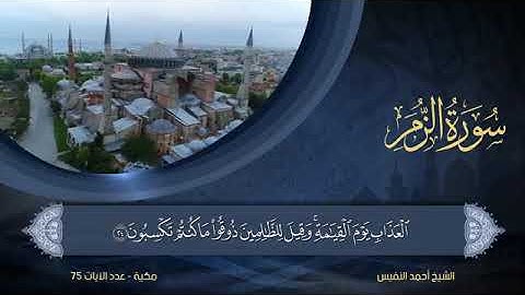 سورة  الزمر  مكتوبة للشيخ أحمد النفيس / المصحف المرتل كاملا