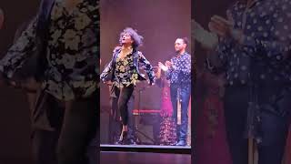 El Farru. Farrucos y Fernández en Navidad
