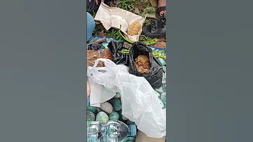 Sesa Piknik Botram 