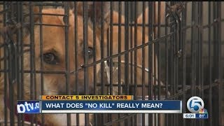 What does a 'no kill' pet shelter really mean?