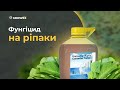 ЛЕГКО ВИРОСТИТИ РІПАК З КАРАМБА ТУРБО. РІСТРЕГУЛЯТОР З ФУНГІЦИДНОЮ ДІЄЮ