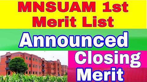 MNS University of Agriculture Multan First Merit list Announced 2022 |MNSUAM Merit lists 2022