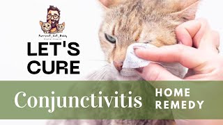 Treating Conjunctivitis in Your Cat | Easy Home Treatment #cat #viral #video #trending